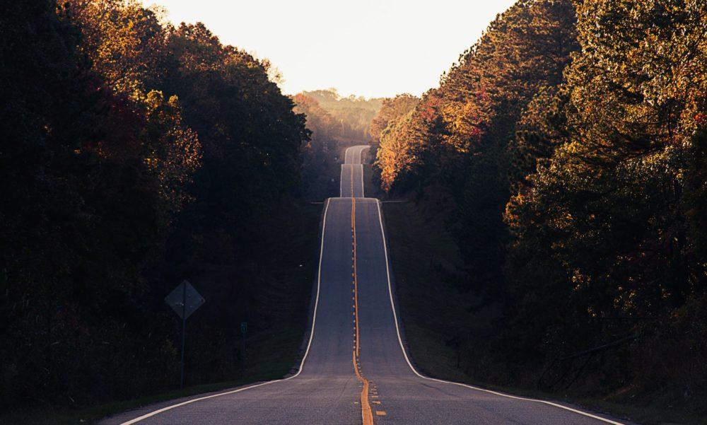 How to build financial forecasts for your business-image